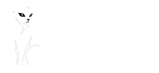 Loterías El Tercer Gato